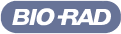 Client Company